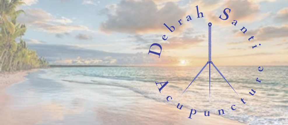 santi acupuncture maui header